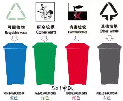垃圾分類 你我同行——記實驗小學501中隊暑假環保活動